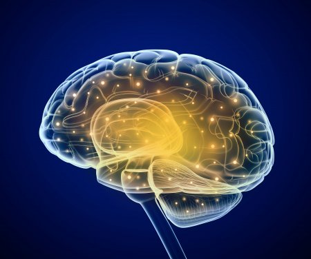LedgehillNS's tweet photo. What Happens to Your Brain When You Use Drugs? https://t.co/wxSf1H2LvJ https://t.co/jckX4rAbCj