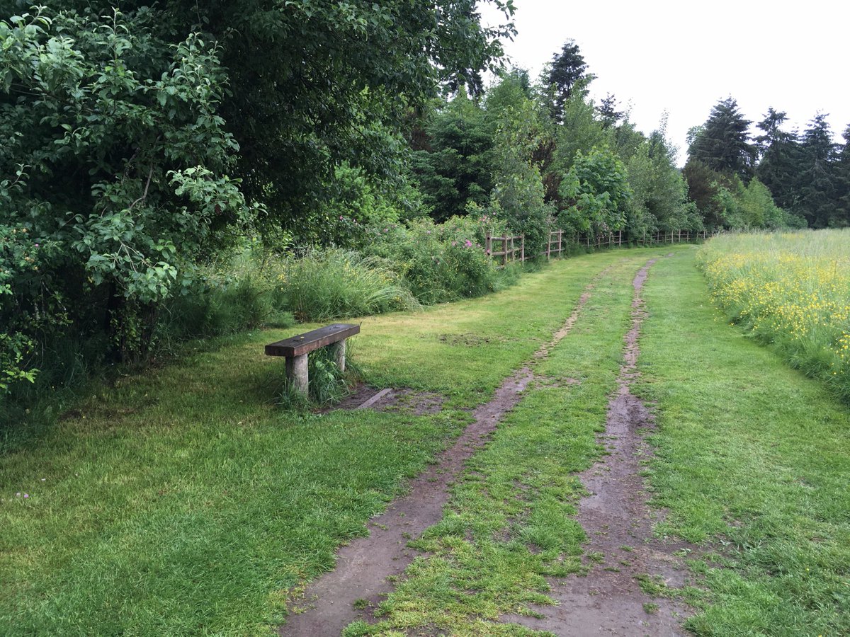 benchesofissy's tweet image. Quiet meadow bench just across the bridge from the big parking lot at Sammamish State Park.
