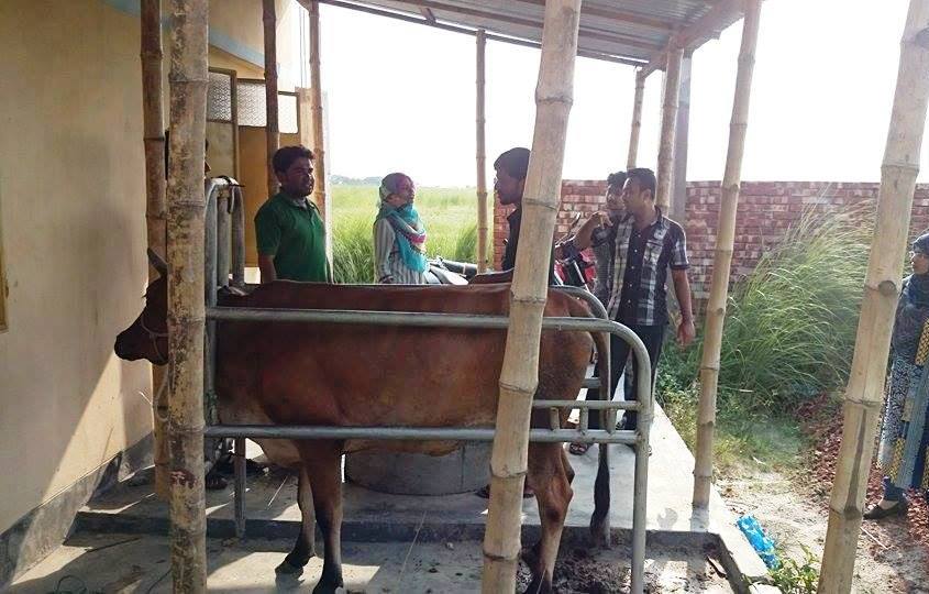 Animal Reproduction (AI) Practical classes in MLID