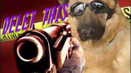 pxsitively's tweet photo. When your friend posts an embarrassing pic of you without your permission https://t.co/eW6s8HRbbi