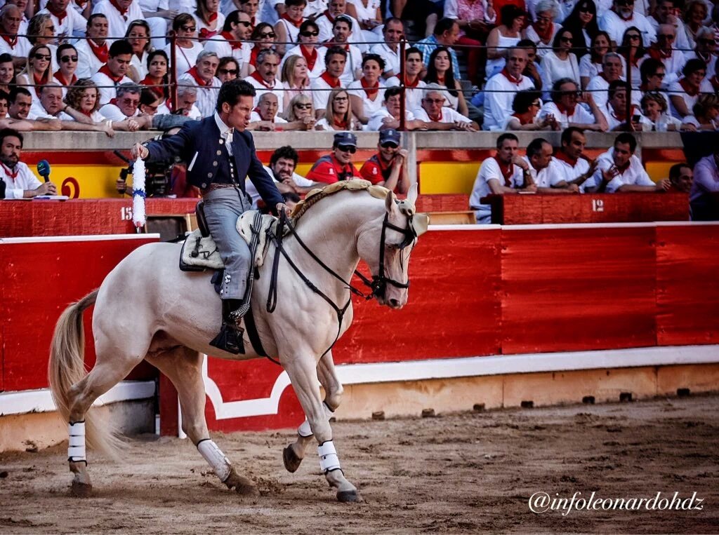 CaballosPRE's tweet photo. Sol (por Luna AP y Soleada) y Leonardo Hernández hoy en #Pamplona. 

#sanfermin https://t.co/S8xNrnYtrF