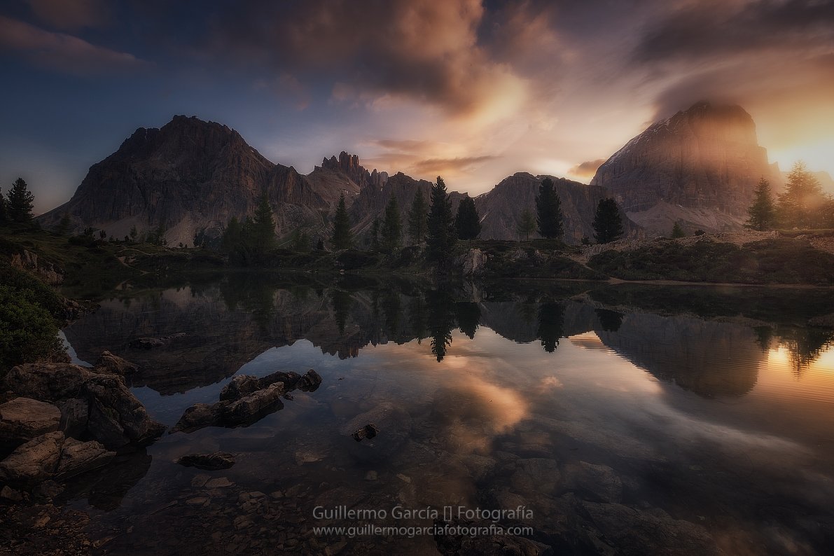 Guillermo García tweet media