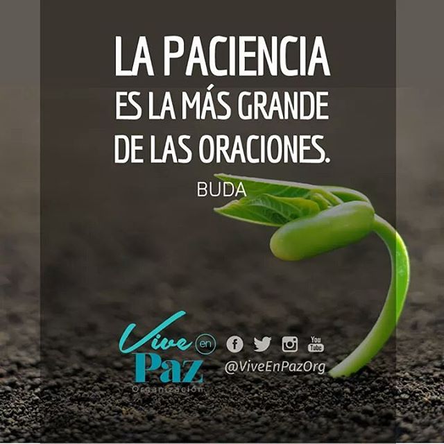 ViveenPazOrg's tweet photo. Te invitamos a seguirnos en todas las redes sociales como ViveEnPazOrg...
#Paciencia #Grande #Oracion #Buda #ViveEn https://t.co/Tw7mrXZKVd