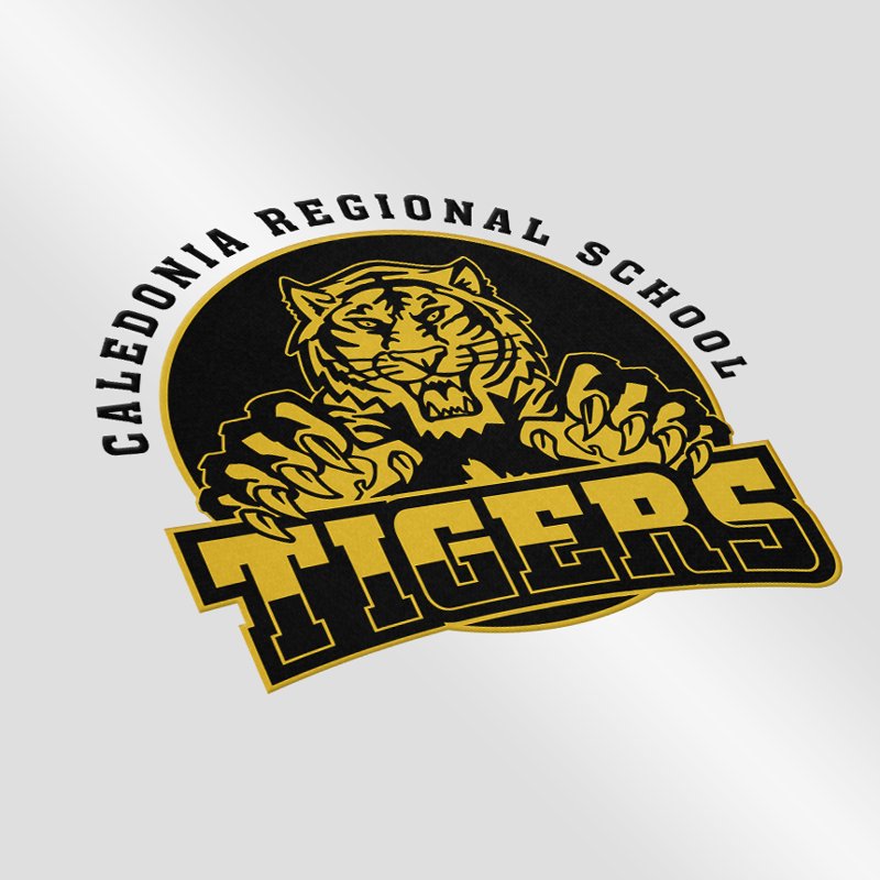 Gill_ECD's tweet photo. New #Logo for Caledonia Regional School in NB. #Design #Creative
Request a #Branding quote today! @ECDynamics https://t.co/7ZpJ2VFOXp