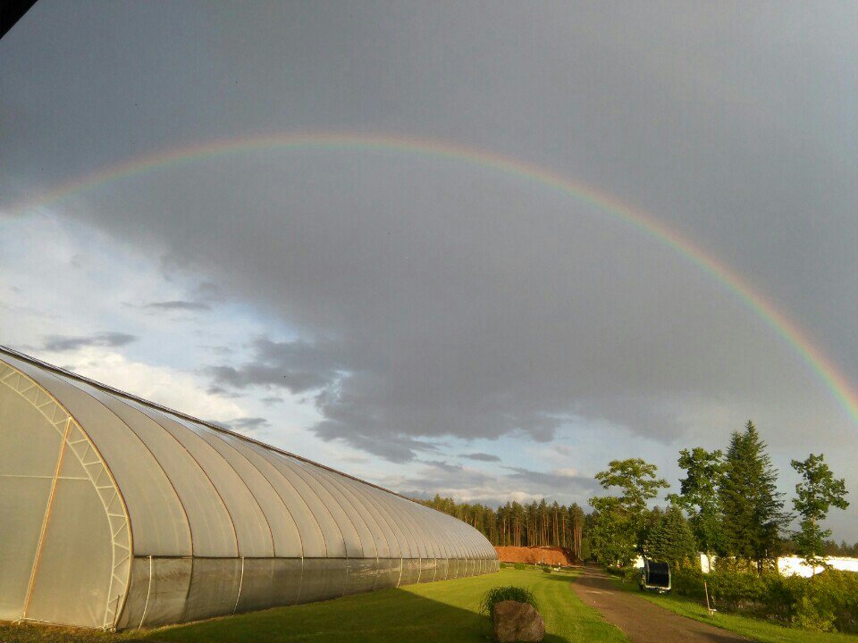 Alviss_J's tweet photo. I'm at Norupes Kokaudzetava https://t.co/jZh4rHMjwn https://t.co/jX1bp4pkwU