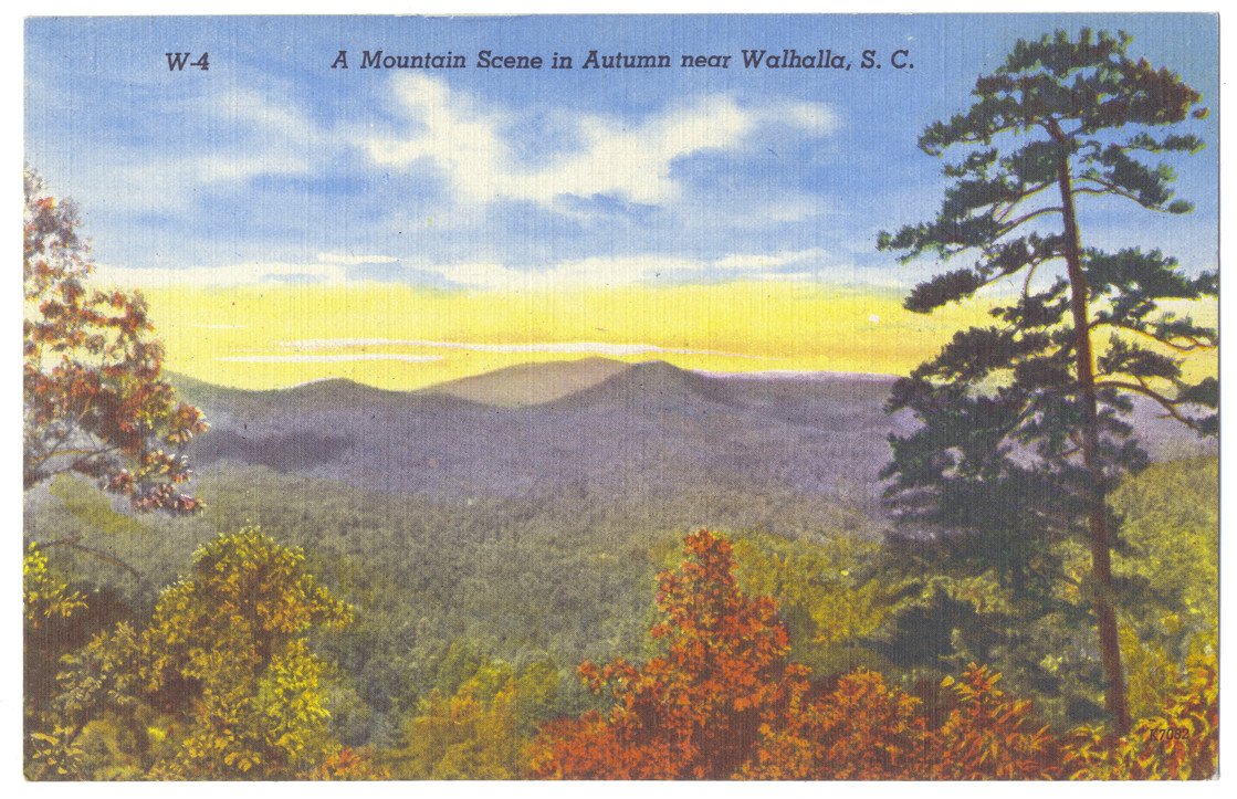 WoffCSpecColl's tweet photo. Working w/ some #vintage #postcards by Asheville Postcard Company. #walhalla #upstatesc #fromthearchives https://t.co/iYAx3URTAK