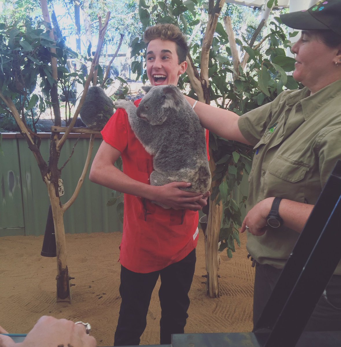 HunterRowland's tweet photo. I HELD A KOALA 😍🐨 https://t.co/IDk0Xp4NDT
