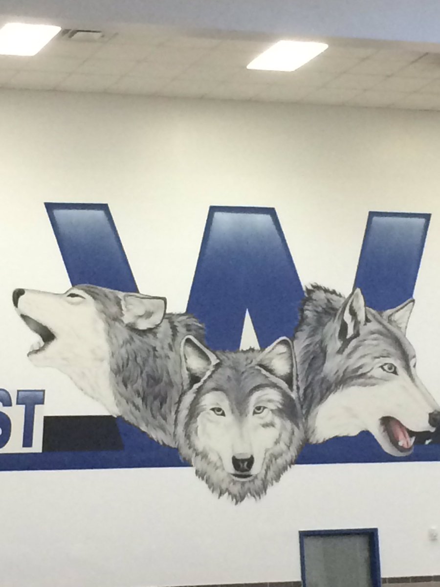 RIPJosiah's tweet photo. Once a Wolf, always a Wolf. 🐺💙 https://t.co/hs0yTEIFjU