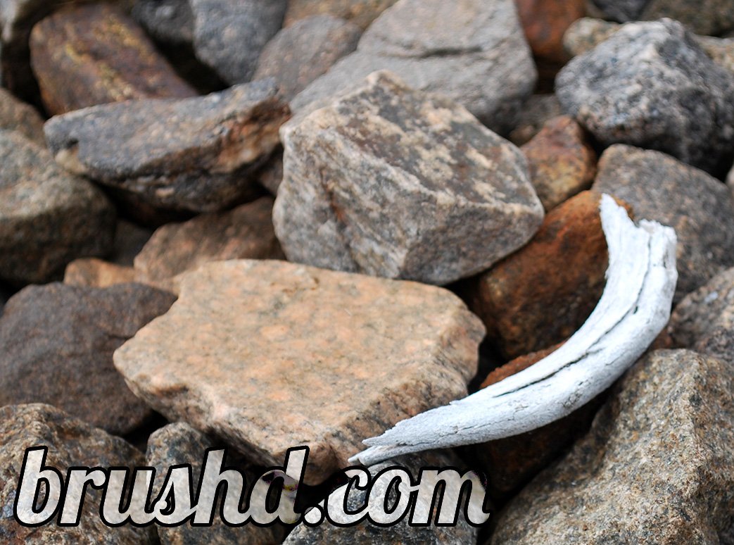 brushd's tweet photo. Just staring at rocks this summer? Why not build a website with https://t.co/jLJNbm6hbP! And add some rocks! https://t.co/cMVngDxVgn
