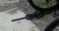 kittylvr2004's tweet photo. #Shadows https://t.co/qTWuvvJJT9
