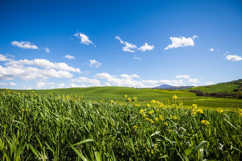 It's our time to refresh the spa. We're closed today &amp; will reopen for services on Friday. ow.ly/gGnX301WZx1