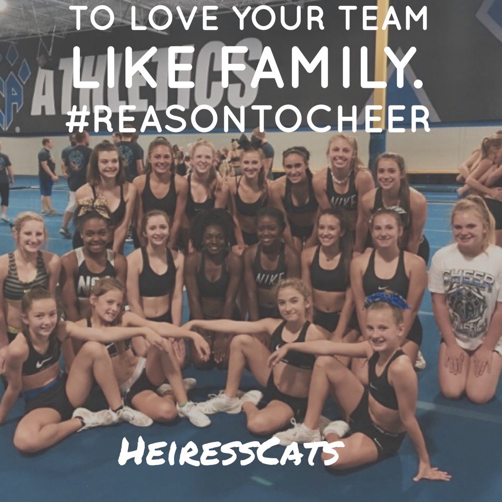HeiressCats_CA's tweet photo. Is it Sunday yet??💙😼 #missingourteam #reasontocheer https://t.co/ss0UENUlol