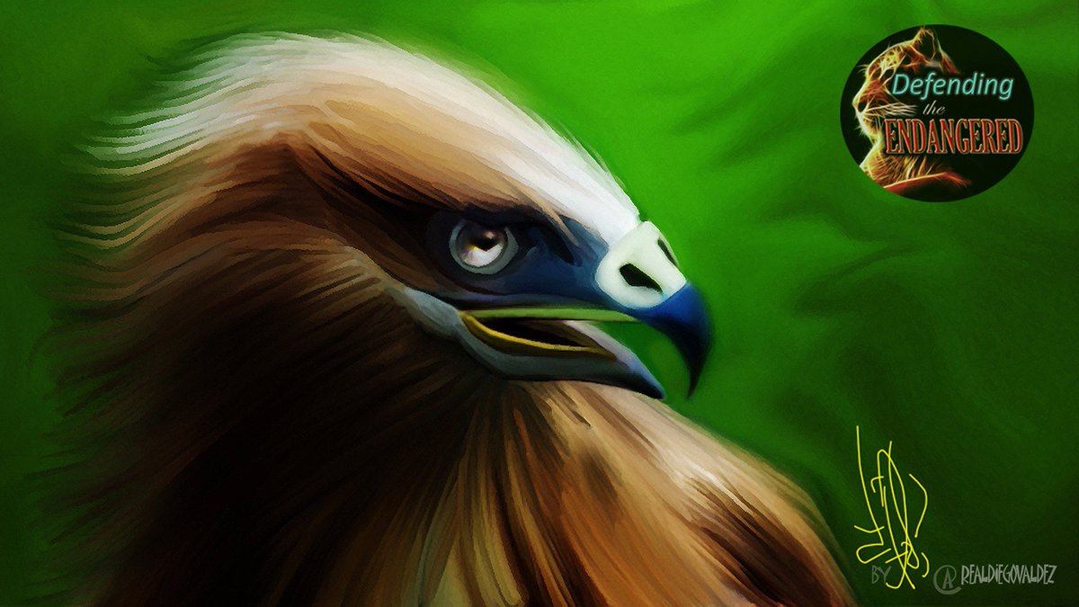 DTEProtect's tweet photo. Good Morning #Defenders! It's #WildlifeWednesday #DTEProject #ArtByDiego @AURADRONE @REALDIEGOVALDEZ https://t.co/mSSAuXnqH1