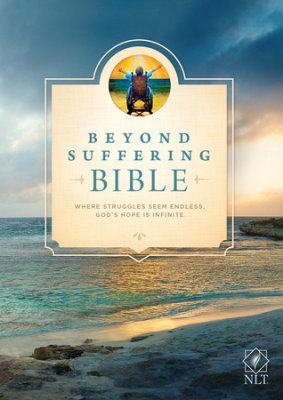biblegateway's tweet photo. .@TyndaleHouse to Release #BeyondSuffering #Bible
➽https://t.co/v94kdgg3yF
@JoniandFriends #disability #Scripture https://t.co/ZSEQg6lSJd