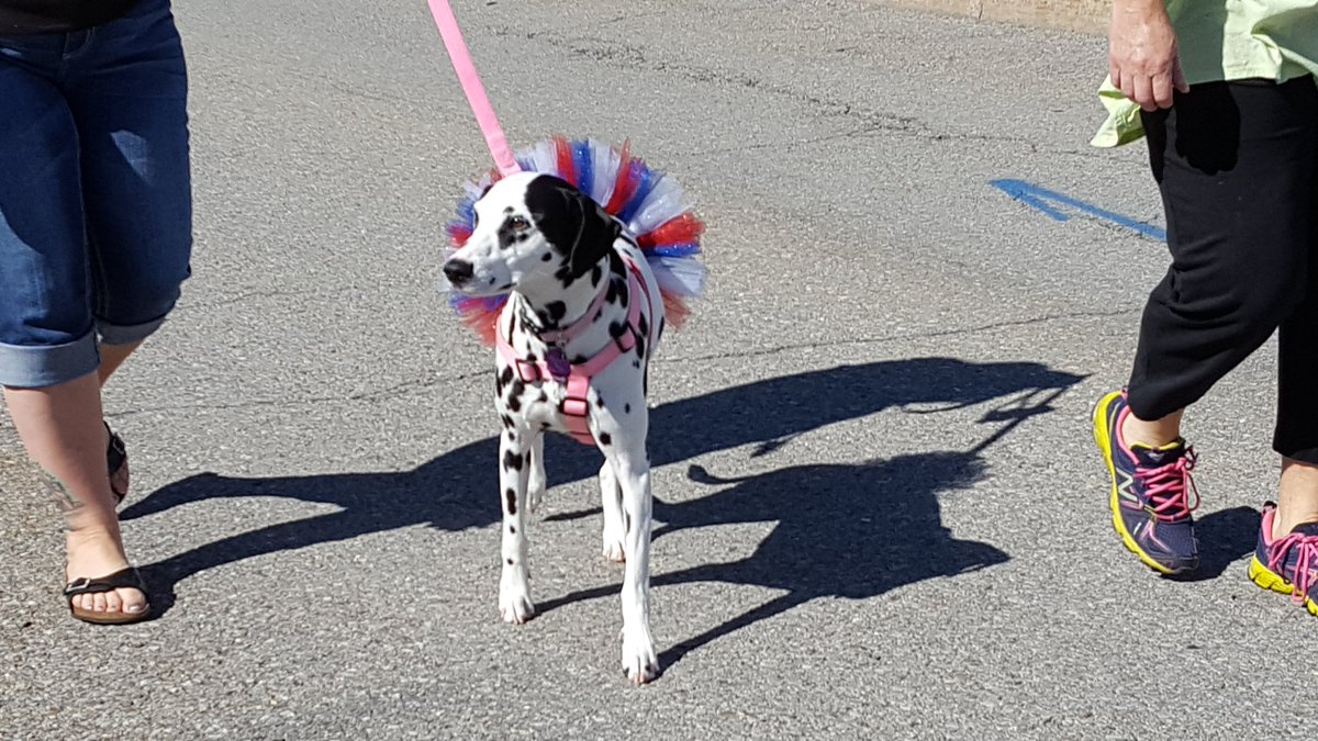 Lancaster Sun tweet media