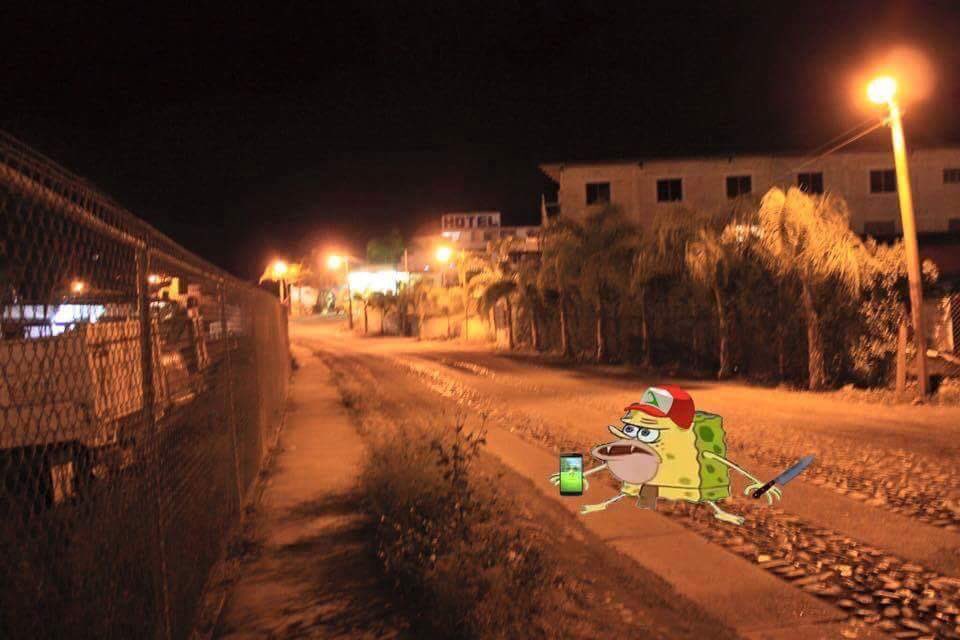 alezuko00's tweet photo. Cuando juegas #PokemonGO  pero vives en el barrio https://t.co/puwxeufyBG