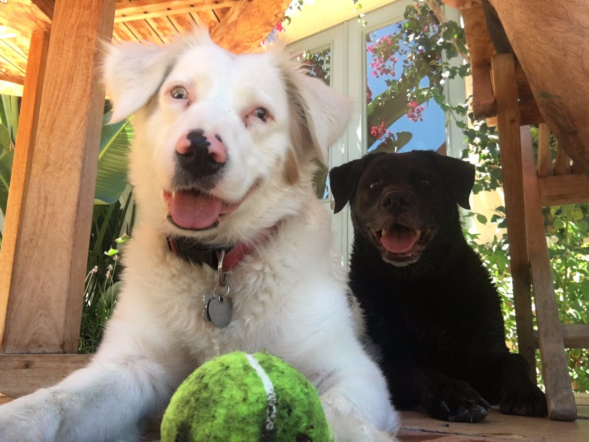 John Carey (@johnnyomm) on Twitter photo 