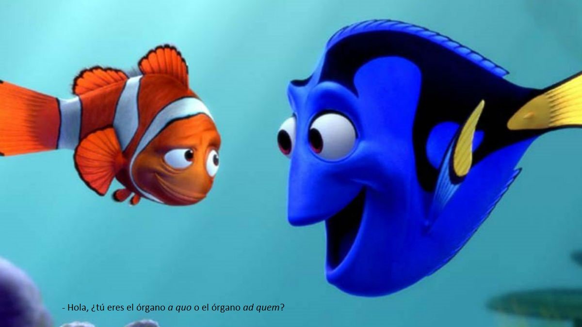 ADiazBautista's tweet photo. De los creadores de "Buscando a Nemo", llega ahora... #DoryEstudiaProcesal https://t.co/vTwZ7gGKfh