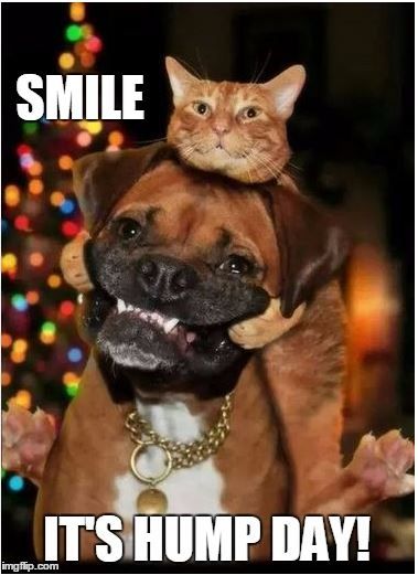 AvalonBiomed's tweet photo. Have a happy Wednesday! https://t.co/068X8YpotK