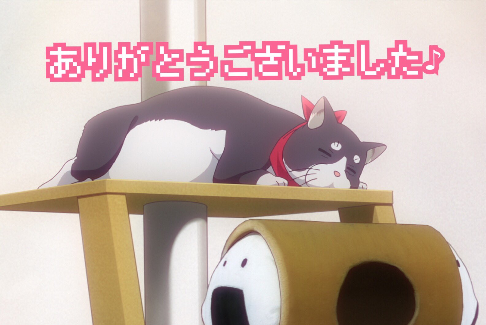 Tvアニメ New Game 公式 New Game 各局初回放送終了いたしました 第1話はいかがでしたでしょうか 是非 ニューゲーム で感想を呟いてくださいね 来週のオンエアも おたのしみに ニューゲーム T Co Sy5o5tc6pr Twitter