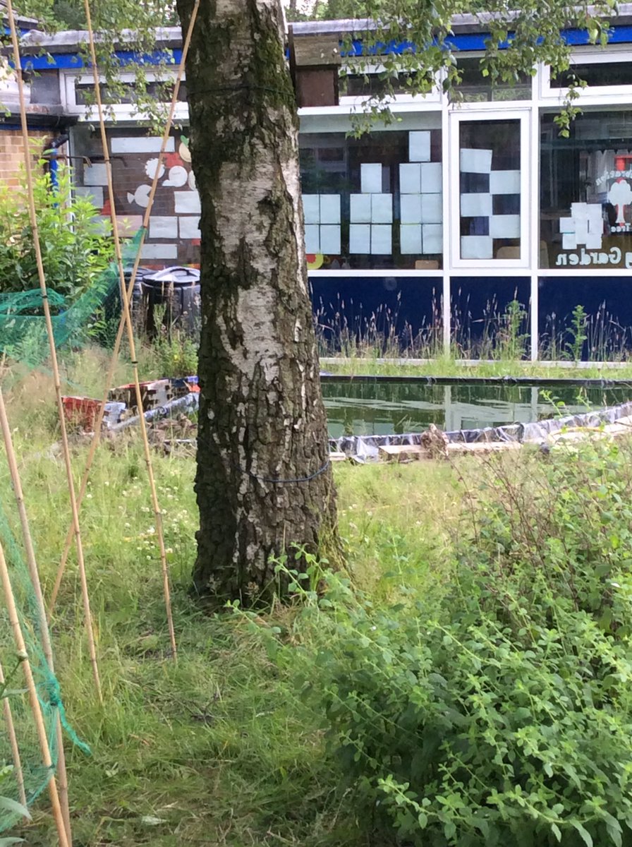 AHPA_MrsW's tweet photo. Today I've been working with Leo who has been very interested in our wildlife. @AbbeyHey1 https://t.co/EfH3LmHVUQ