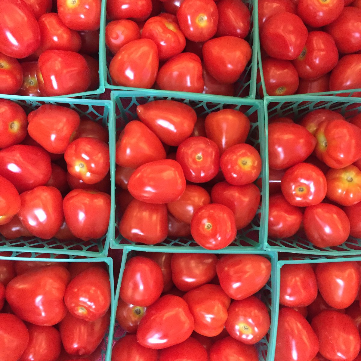AmandaSweetman's tweet photo. First cherry tomatoes of the year!! #nofilter #eatfresh. Join us at market today till 1pm! https://t.co/qAdQeqrbzr