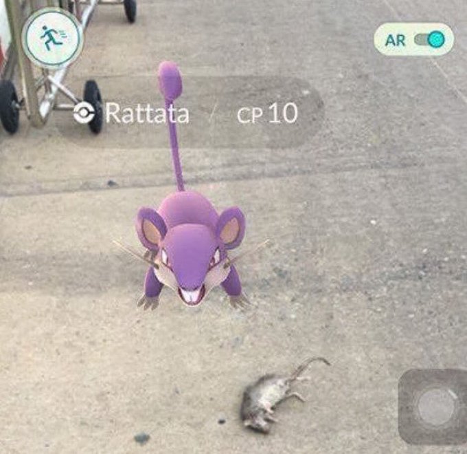 Ver imagem no Twitter Ver imagem no Twitter