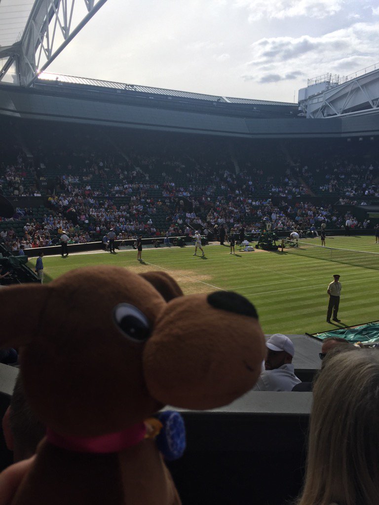 BillieBallDog's tweet photo. Another super seat! #bestinhouse https://t.co/zX79mCQzMs