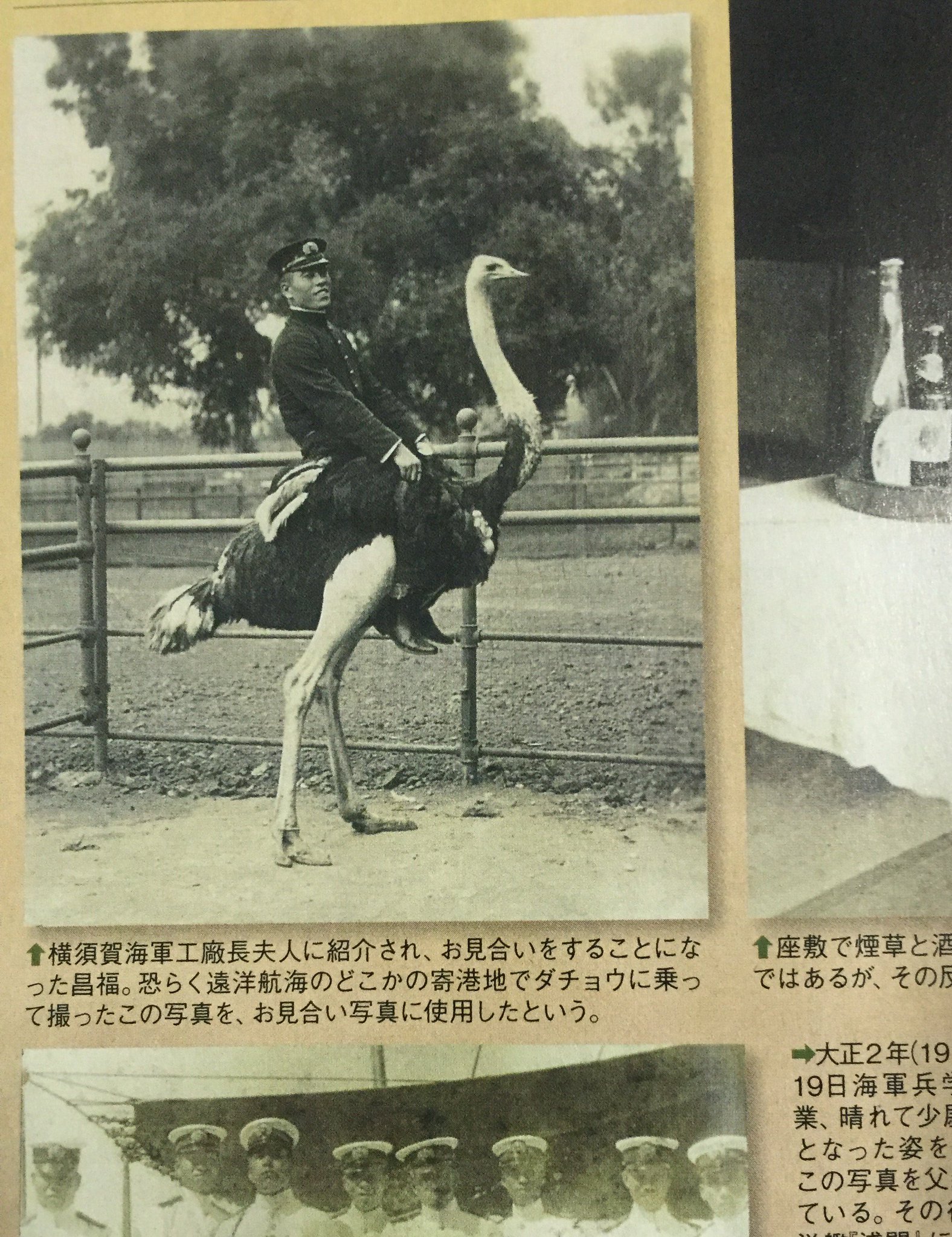 ないさろーる Ar Twitter そう言えば歴群買ったんだけど 木村昌福提督がチョコボに乗ってる写真見て腹がよじれるほど笑ったのでみんな買おう T Co Vcob4vsosc ないさろーる Ar Twitter そう言えば歴群買ったんだけど 木村昌福提督がチョコボに乗ってる写真見て腹がよじれるほど笑ったのでみんな買おう T Co Vcob4vsosc