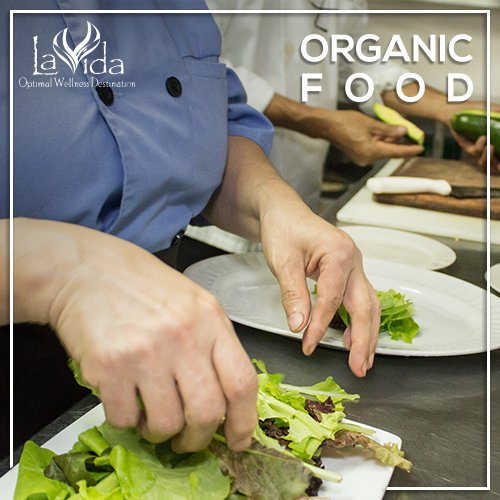LaVidaprogram's tweet photo. Let the fresh and #natural flavors of a wide variety of #organicfood take your palate to a new level of pleasure. https://t.co/9SX7wsaM5g