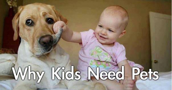SearchinStore_'s tweet photo. Every kid needs a pet! https://t.co/r7XjltIPyB
