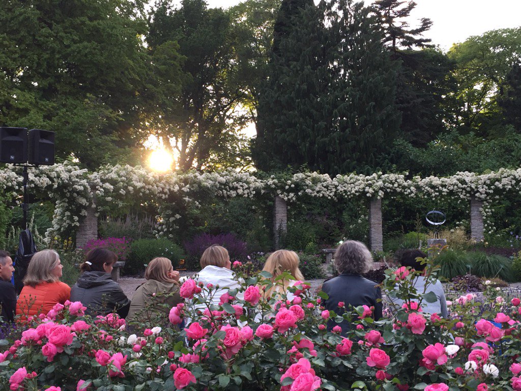 Energi_mynd's tweet photo. Solen dök också upp på belysningsutmaningen i Botaniska #glcswe https://t.co/Y3wSPuN2TL