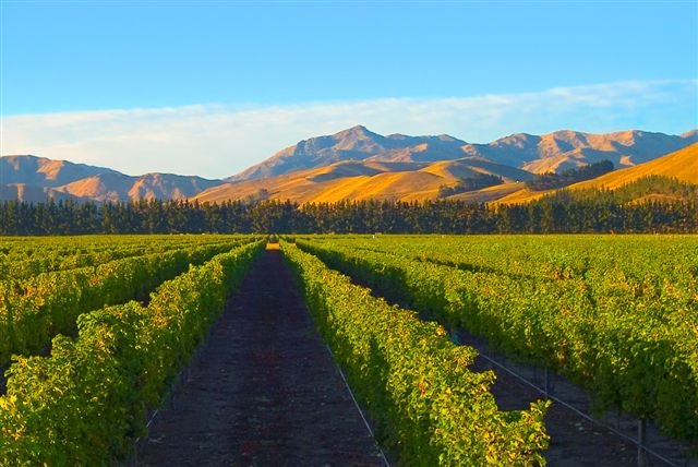 PremiumTasting's tweet photo. Las 10 capitales mundiales del Vino. #GreatWineCapitals https://t.co/R4dJVBJuCy https://t.co/Y3pZqzAEhM