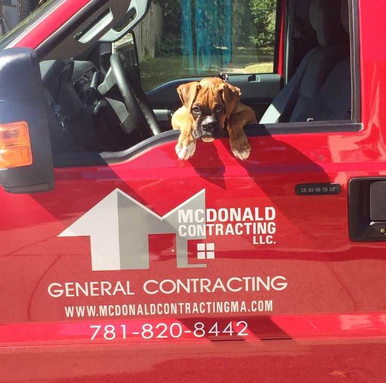 McD_Contracting's tweet photo. Dempsey enjoying his lunch break... #OurMascot https://t.co/BfhMT1kgAg