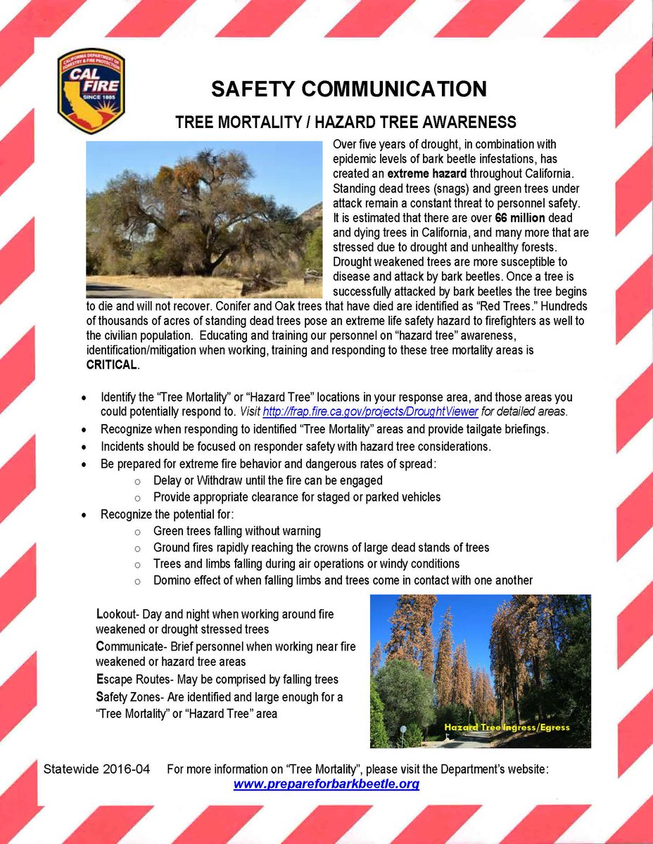 JhawkFire's tweet photo. #CALFIRE #SoOpsGACC #CentralSouthernSierraMountains,CA #FireProbs W/ #DyingTrees & #HazardTrees FF's: #DANGER https://t.co/AkgAfioYTh