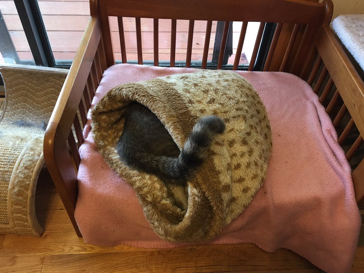 LaundryThief's tweet photo. Seriouslyz https://t.co/YOWFtpduUE