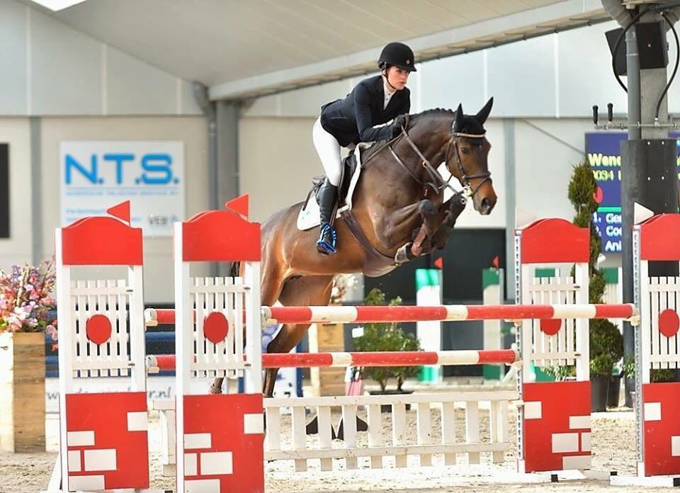 Wendy_Scholten's tweet photo. Mijn lieve Eulanda (Ustinov x Ircolando) reservekampioen 4 t/m 7jr merries en elite op #CKOverijssel #KWPN https://t.co/NKtDYud81C