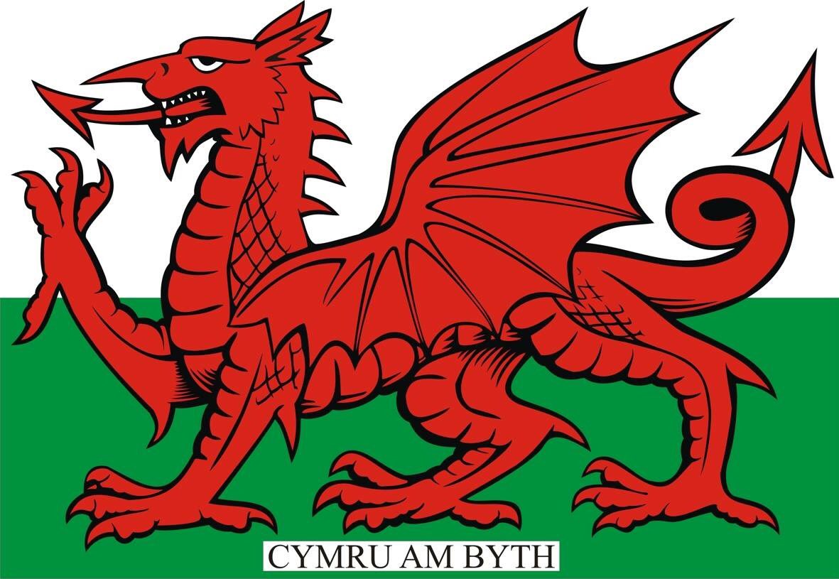 Geezajay2013's tweet photo. GOOD LUCK TONIGHT AGAINST PORTUGAL! WE WILL BE CHEERING YOU ON WALES! https://t.co/XSwdbyfrGp