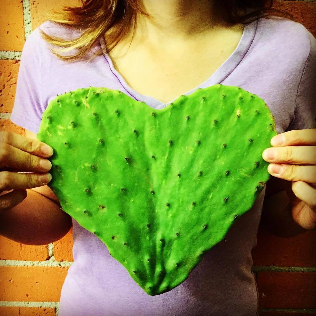 We love Cactus Nopales! #specialtyproduce #heartshaped produce #nopales ift.tt/29OKdP1