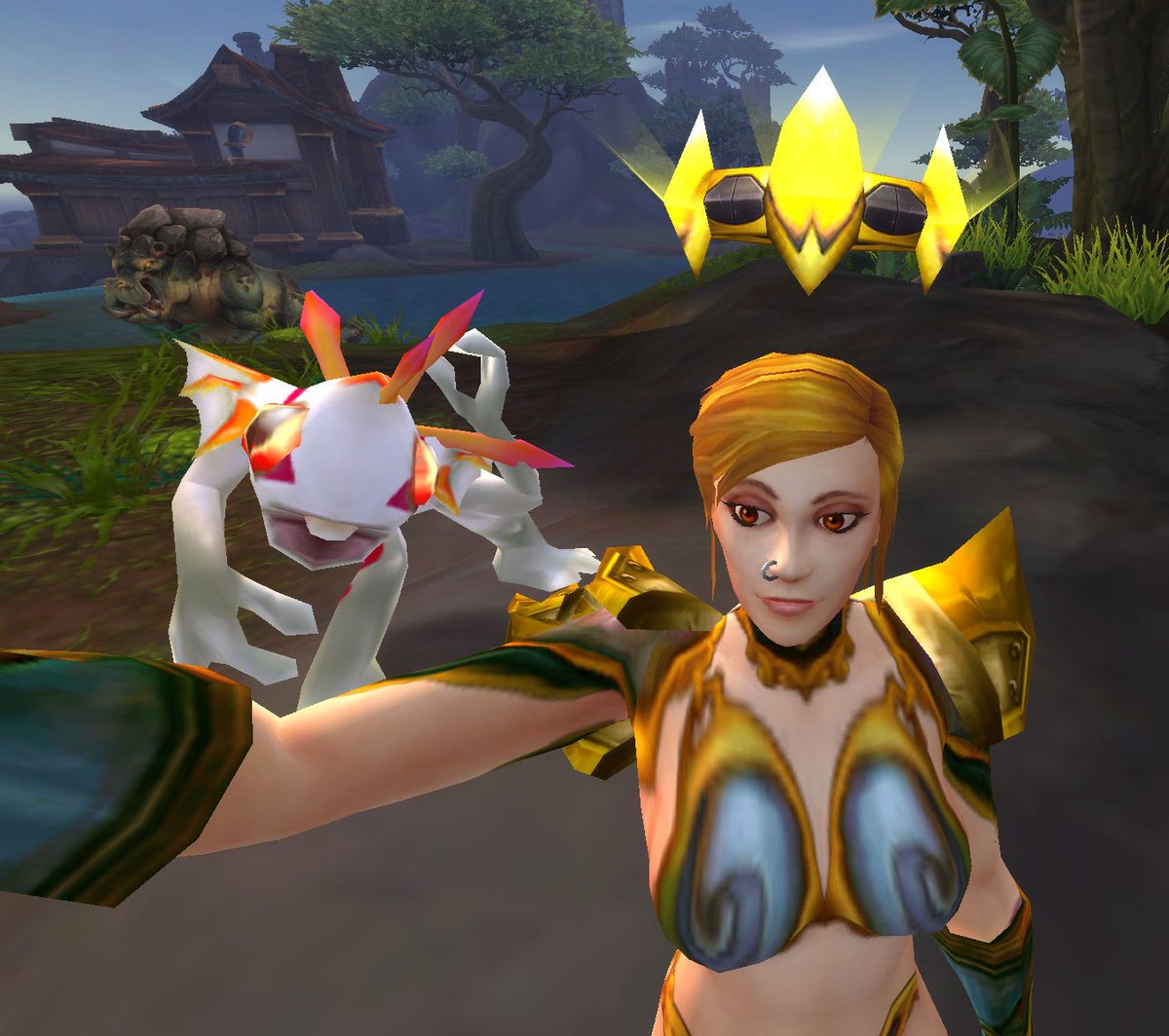Nia30001's tweet photo. Lookie at who I gotthis morning! <3 #warcraft #wowselfie https://t.co/TGDyVg9a2A