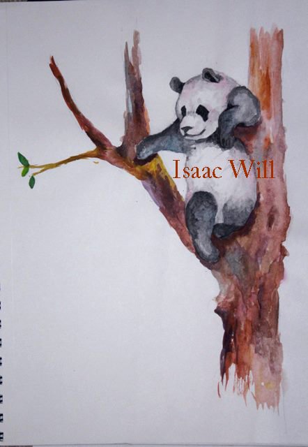 Ilustración Infantil

#Watercolor #ilustration #Acuarela #Panda