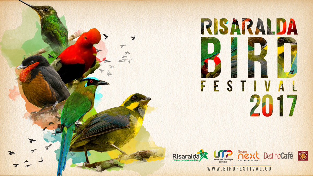 GrupoNextCol's tweet photo. Les presentamos la imagen oficial del #RisaraldaBirdFestival un evento #GrupoNext https://t.co/o1HKmn3oYJ