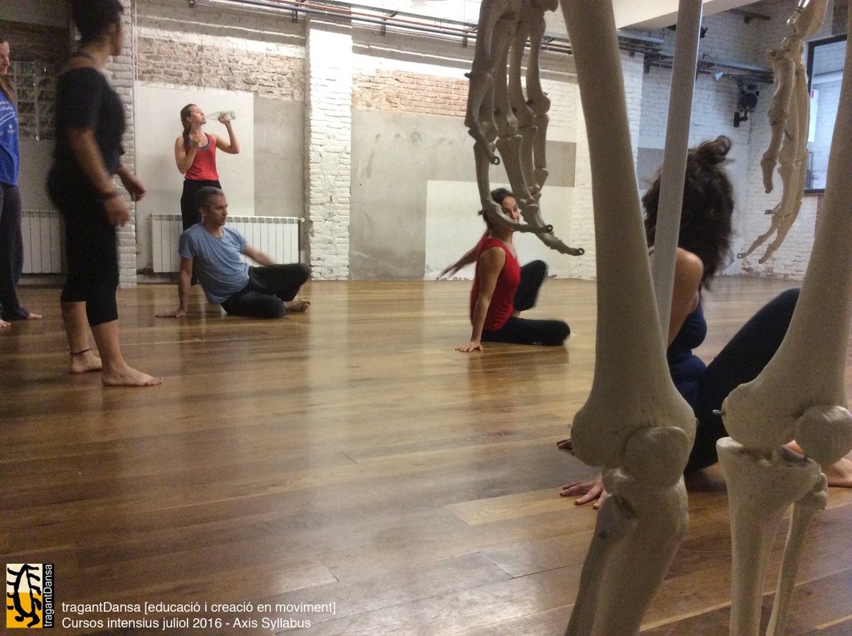 tragantDansa's tweet photo. #axissyllabus @tragantDansa aquesta setmana amb Maria Mora https://t.co/WqIVkSoi1C