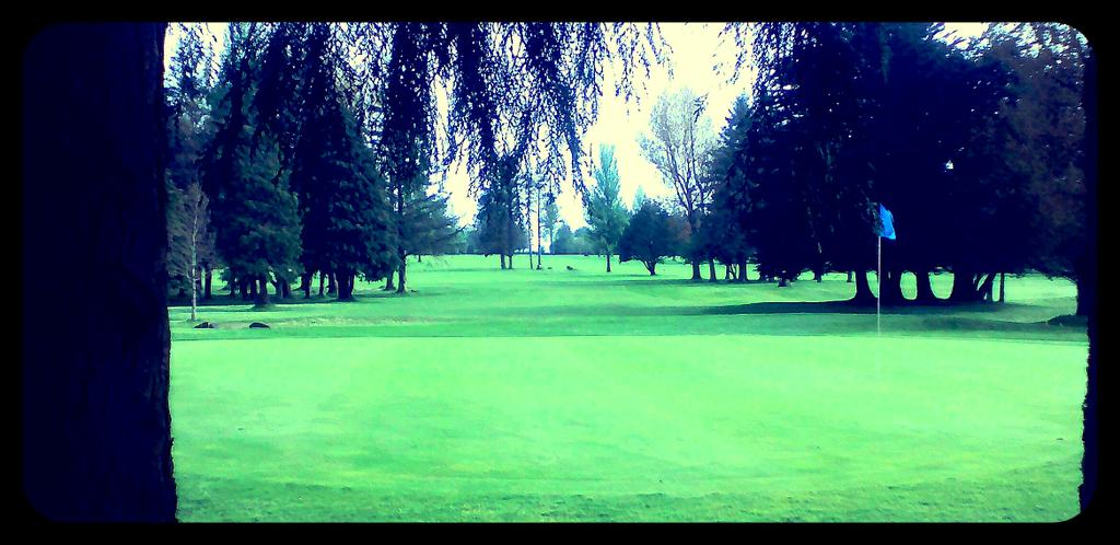 Charleville GC tweet media