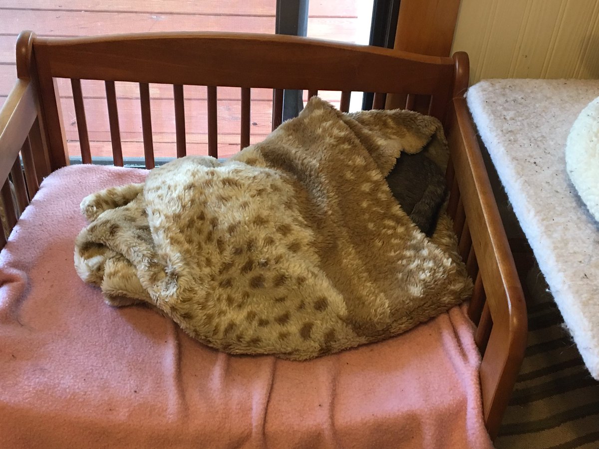LaundryThief's tweet photo. For realz. https://t.co/3RPPS2GgOS