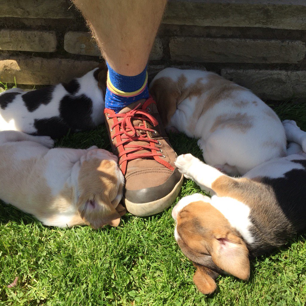 BentSpokeCycleRepair tweet media