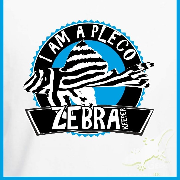 tiny_gecko's tweet photo. #plecokeeper #pleco #zebrapleco #leopardpleco #snowballpleco #starlightpleco #tshirtprint @Bizify_UK @espresso_web https://t.co/FLrbXtlvZw