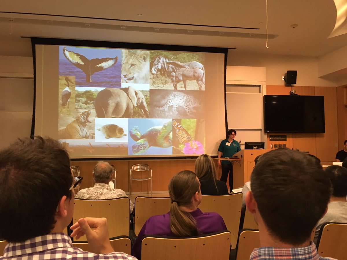 WildMeORG's tweet image. Presenting @IBEIS_org at #CompSust16 @compsust @Flukebook #citizenscience #AnimalPhotoID #tech4good #AI4socialgood