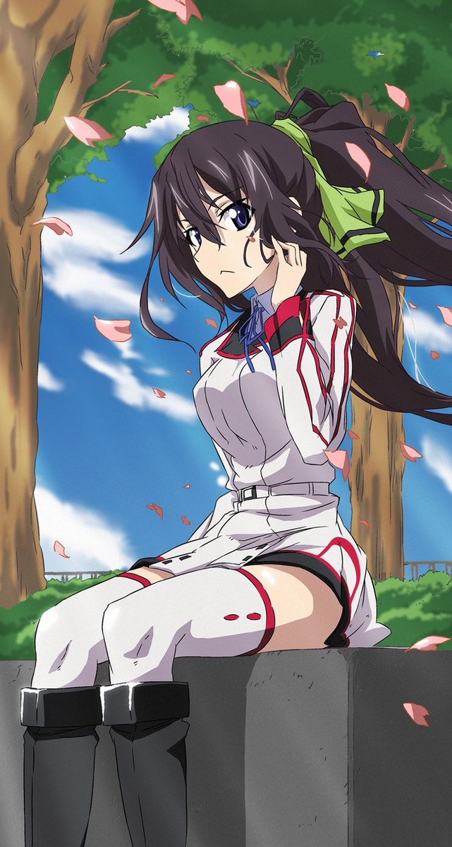 青涼飲料水p 今日は箒ちゃんの誕生日でございます Happy Birthday 箒ちゃんマジでエロくて可愛いんよ 篠ノ之 箒生誕祭16 Is好きな人rt 7月7日は篠ノ之箒の誕生日