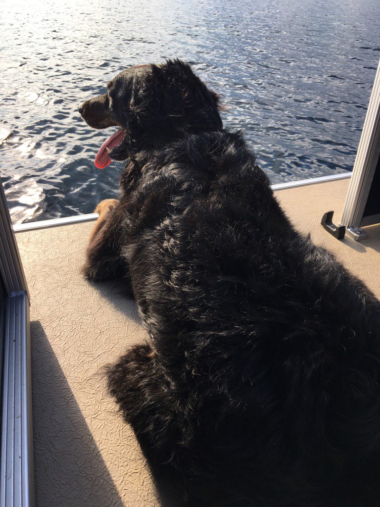 MurraysCottages's tweet photo. Beautiful night on the lake! https://t.co/P1PMFiuvoy